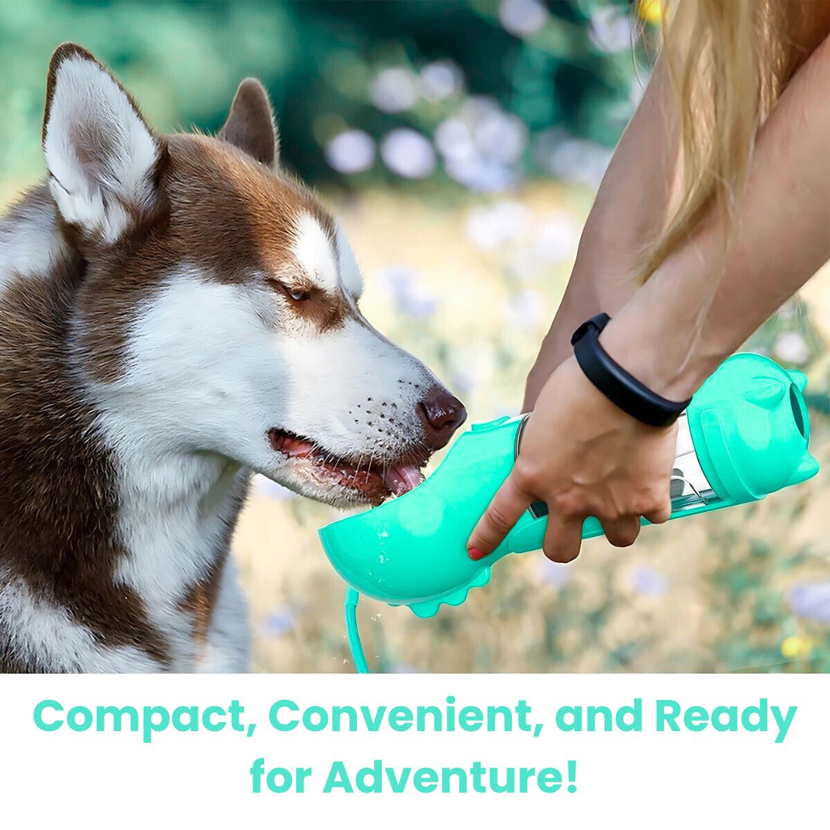 All-In-One Doggie Travel Bottle