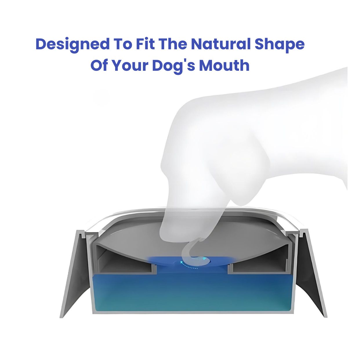 Drip Free Water Bowl