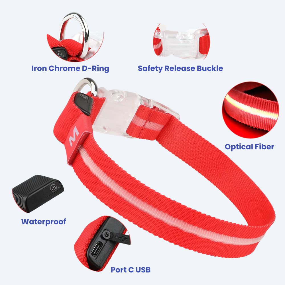 LED Dog Collar