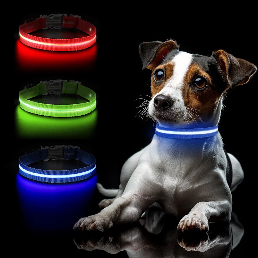 LED Dog Collar