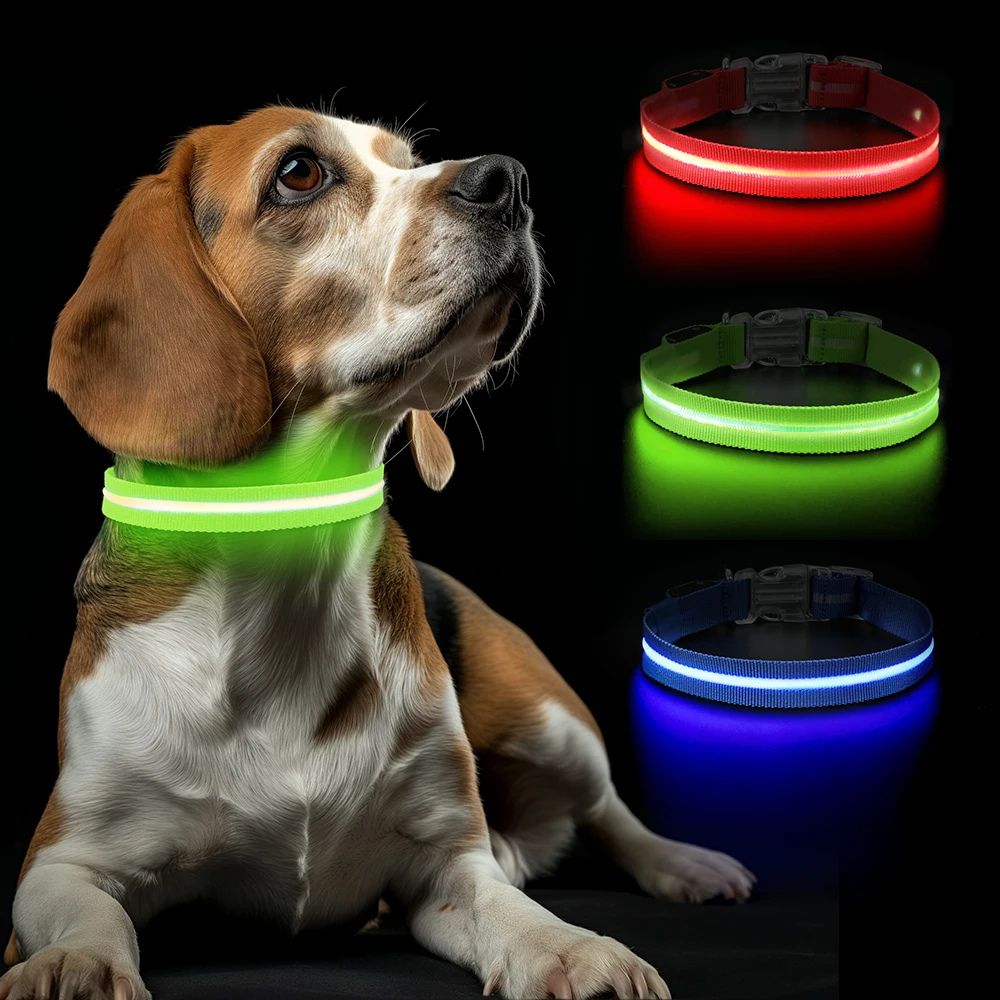 LED Dog Collar