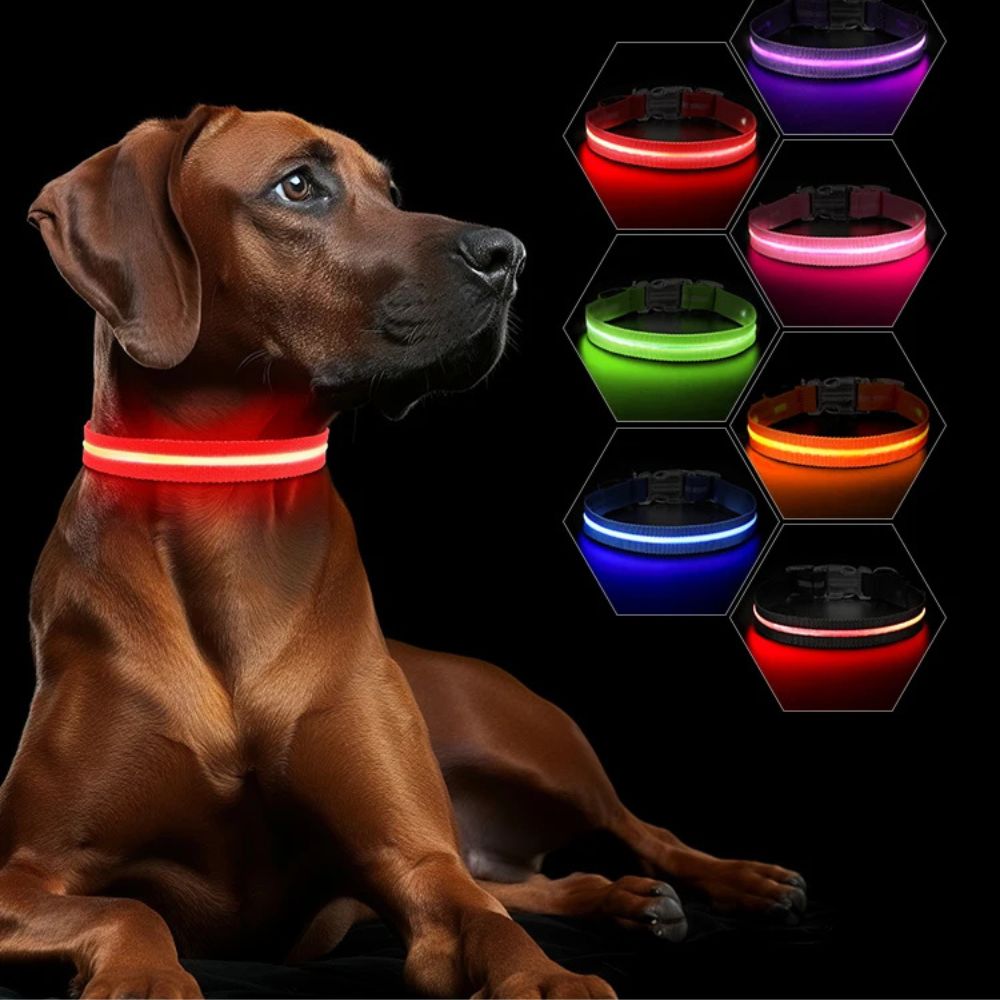 LED Dog Collar