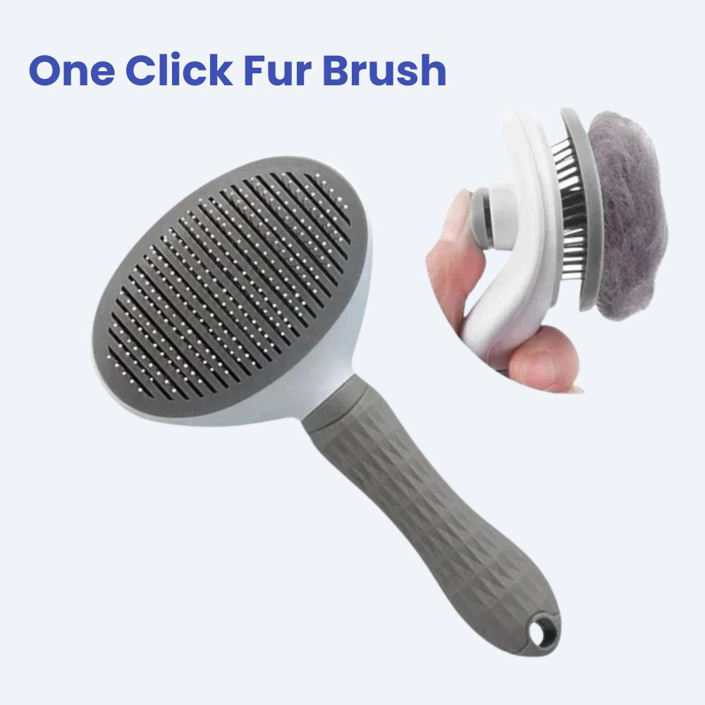 One Click Fur Brush