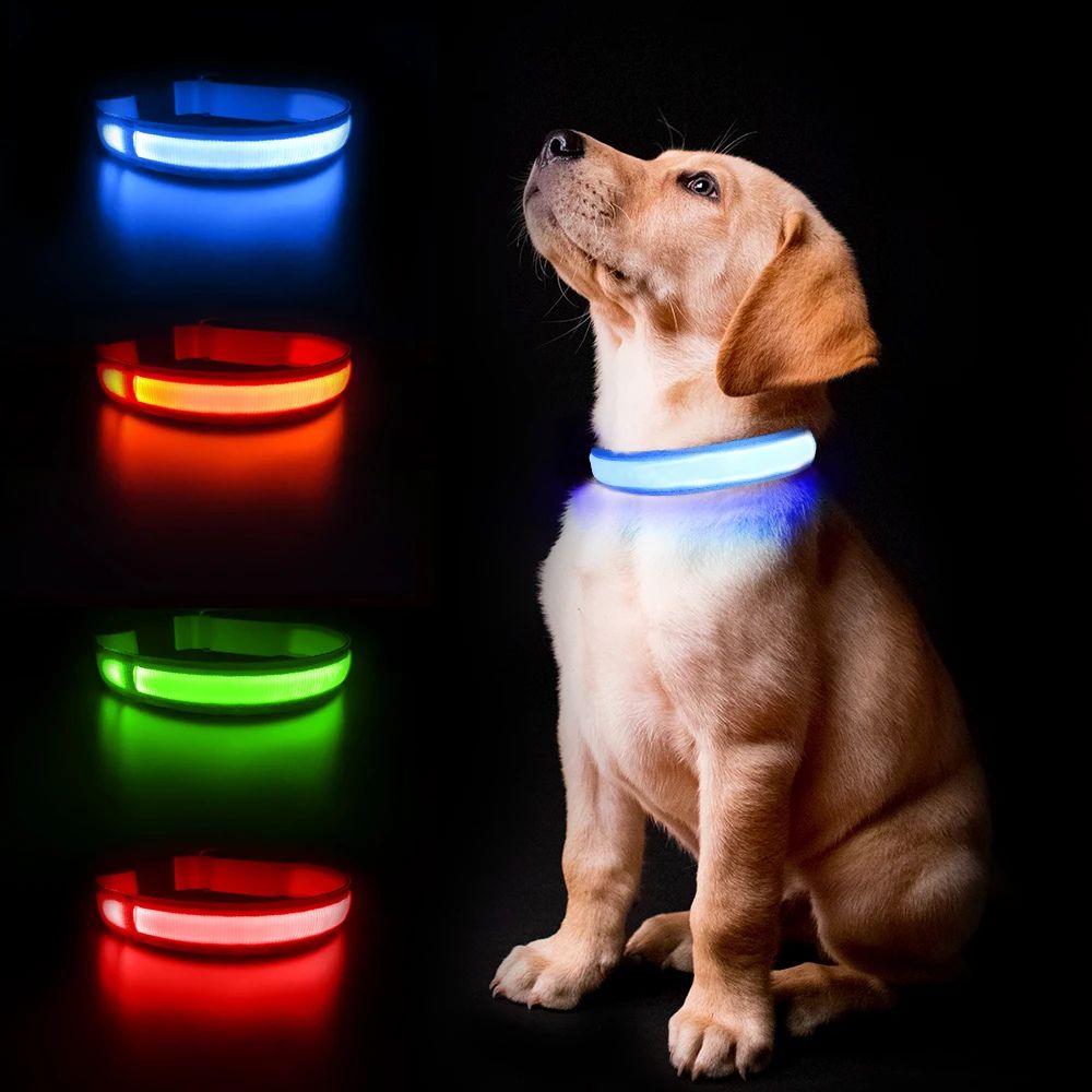 LED Dog Collar