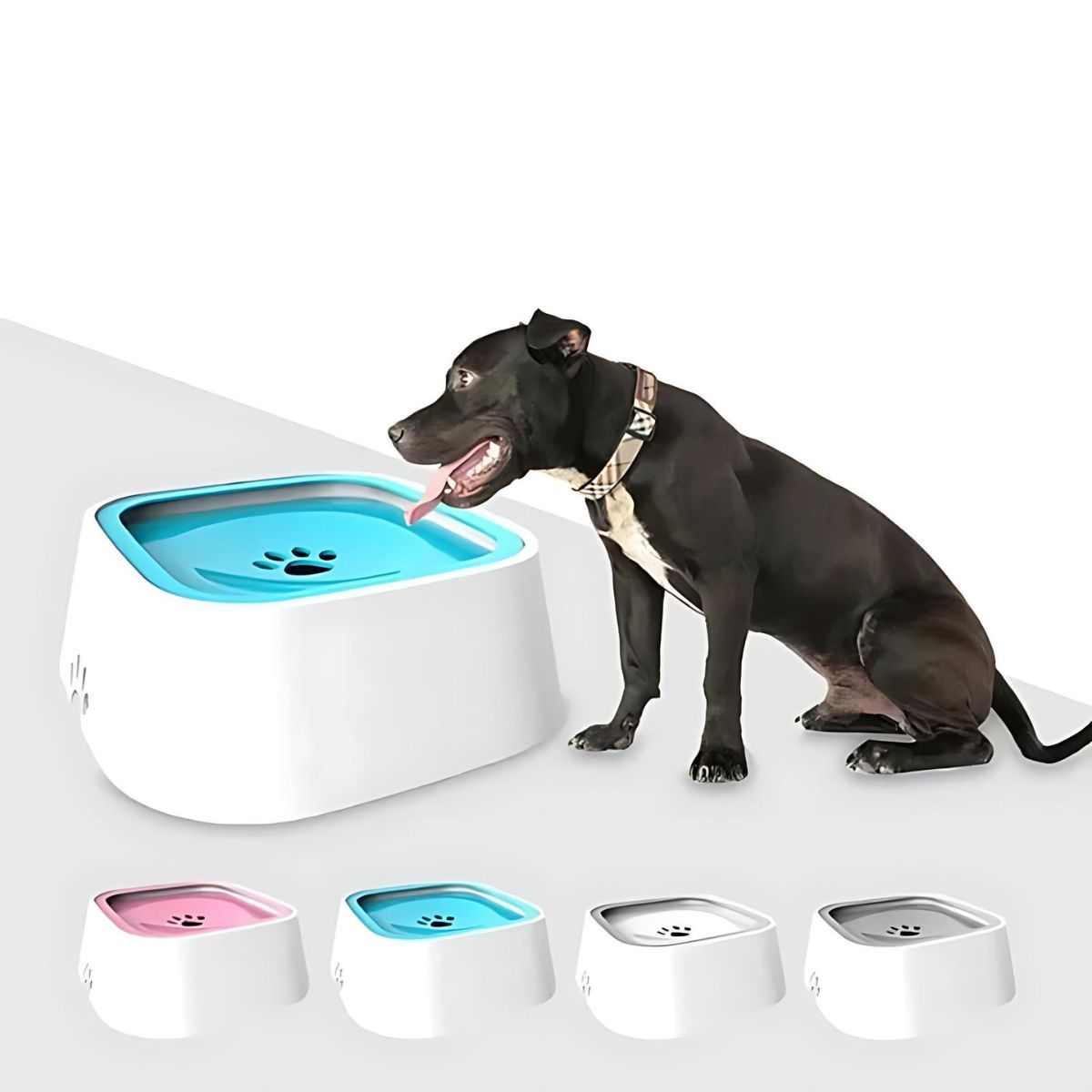 Drip Free Water Bowl