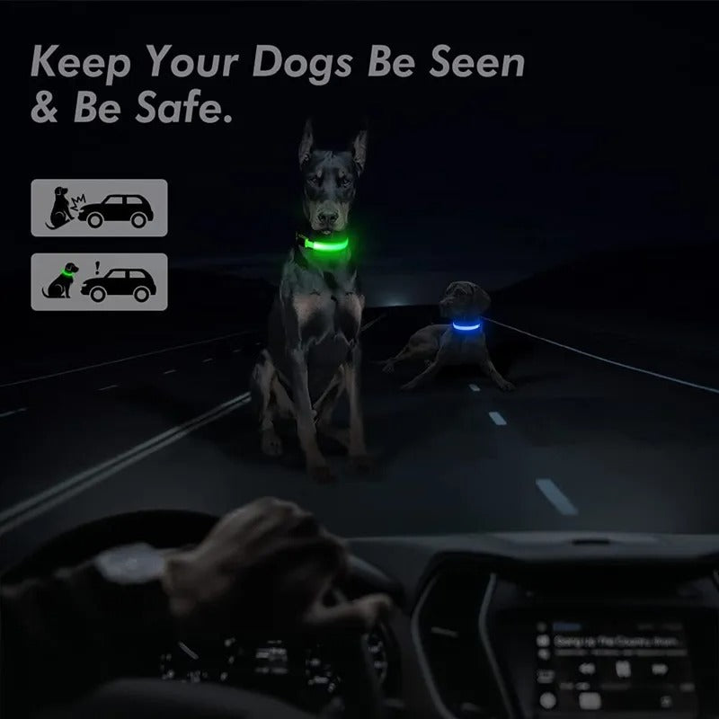 LED Dog Collar