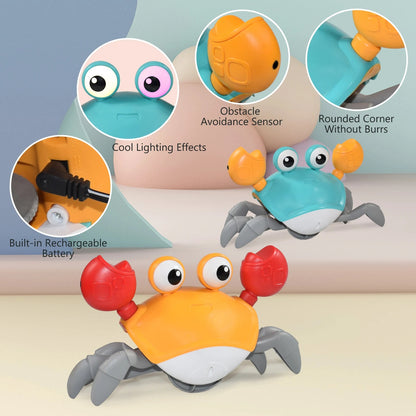 Dancing Crab Dog Toy