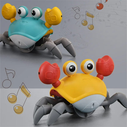 Dancing Crab Dog Toy