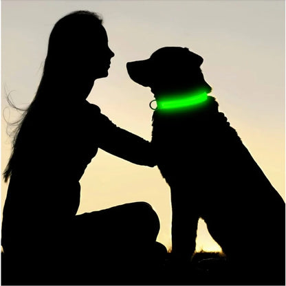 LED Dog Collar