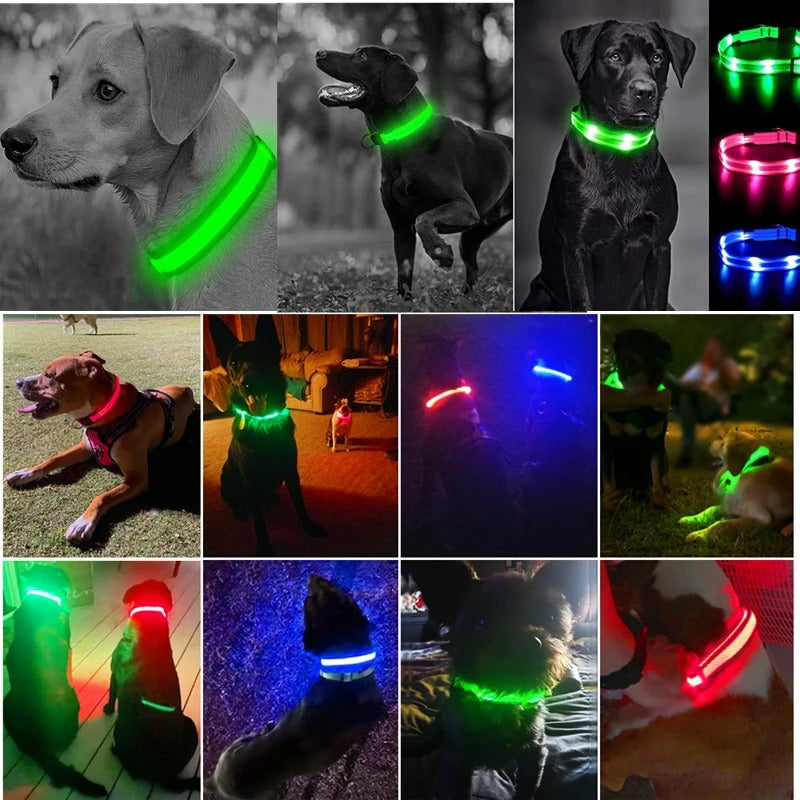 LED Dog Collar