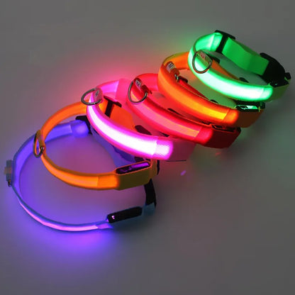 LED Dog Collar