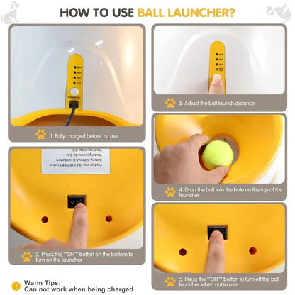 Automatic Ball Launcher