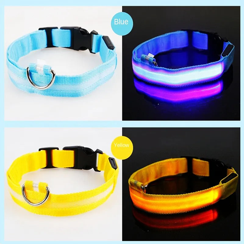 LED Dog Collar