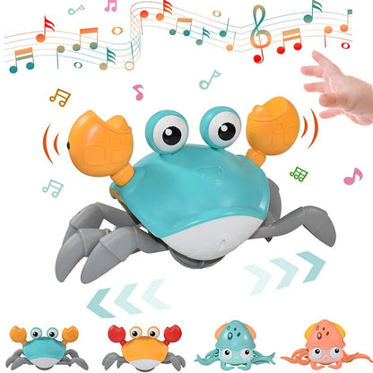 Dancing Crab Dog Toy