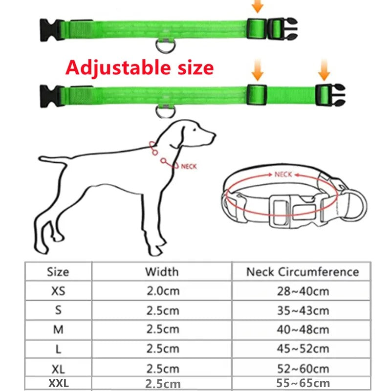 LED Dog Collar