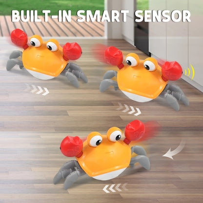 Dancing Crab Dog Toy