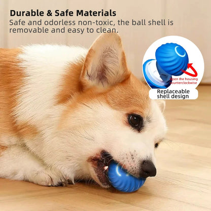 Smart Dog Ball