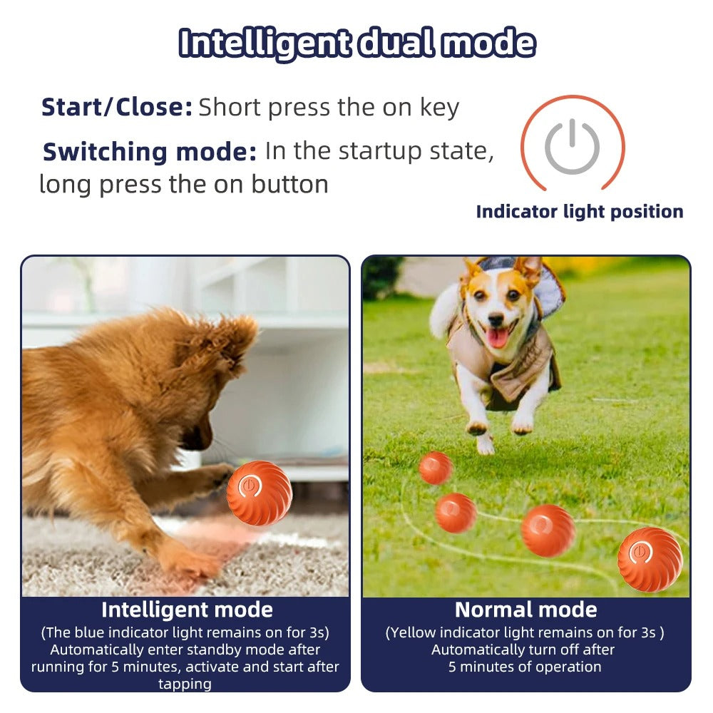 Smart Dog Ball