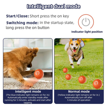 Smart Dog Ball